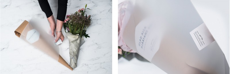 未來花卉概念包裝設計