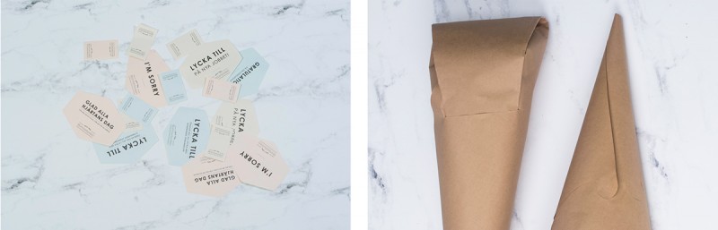 未來花卉概念包裝設計