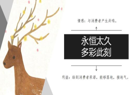 公司品牌建設方案的注意事項