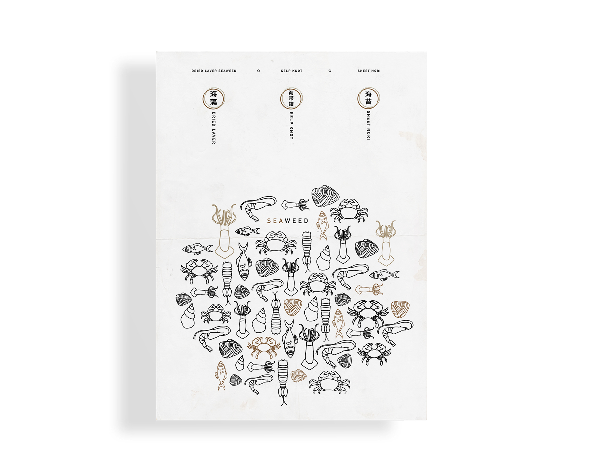 海產品插畫設計