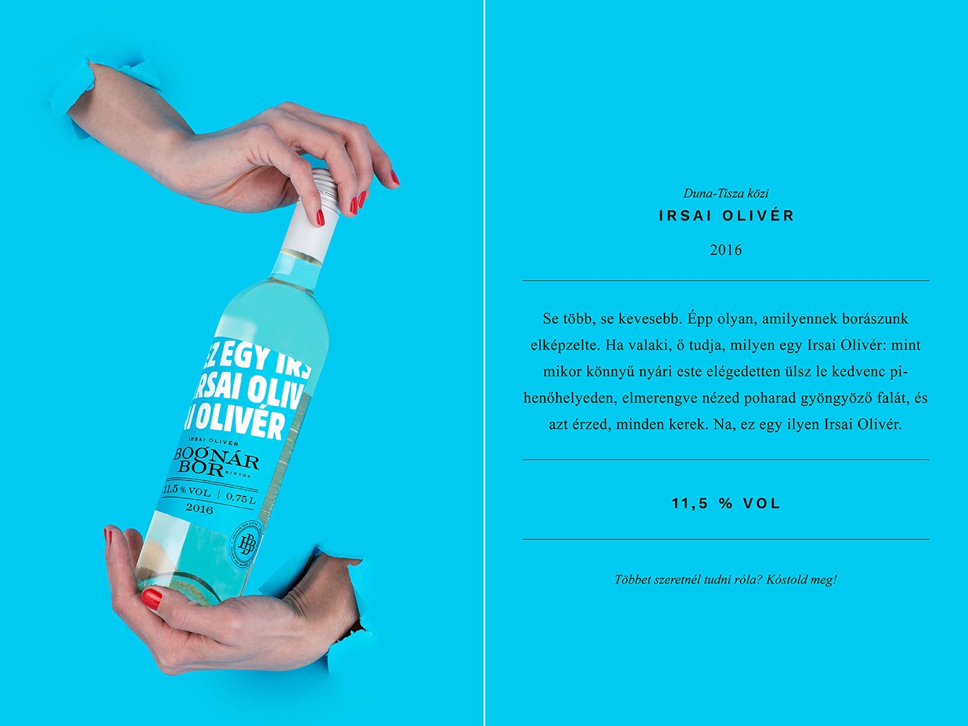 Bognar家族的年輕葡萄酒包裝設計，我們只需要更年輕