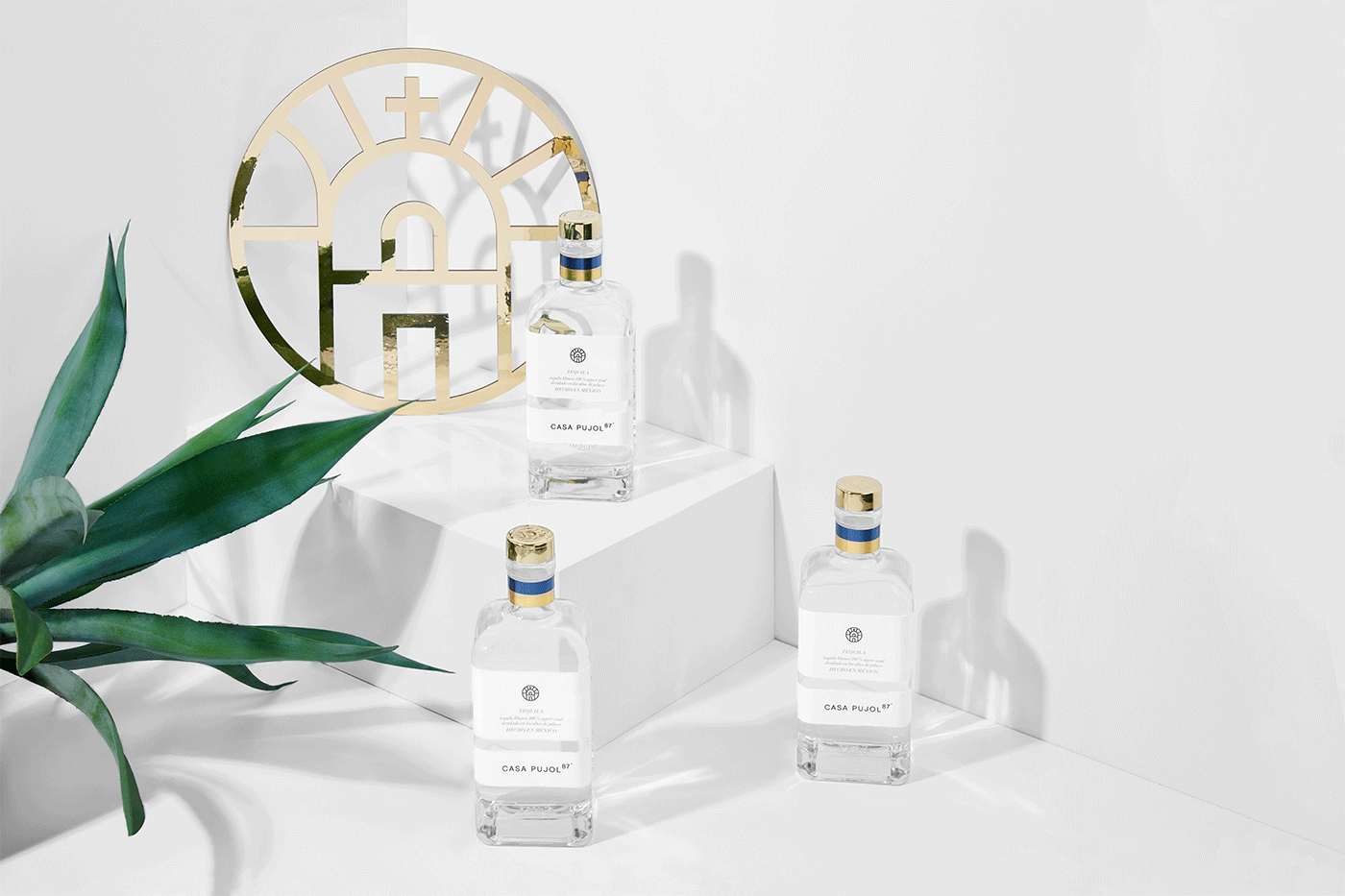 龍舌蘭酒創意包裝設計