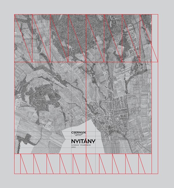 白葡萄酒包裝插畫 白葡萄酒包裝插畫