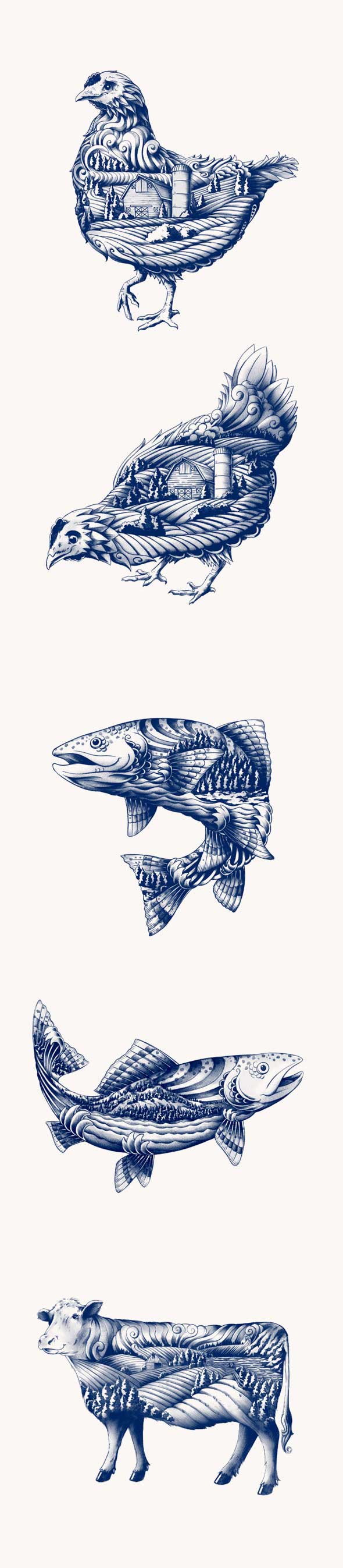 加拿大有機肉類品牌插畫