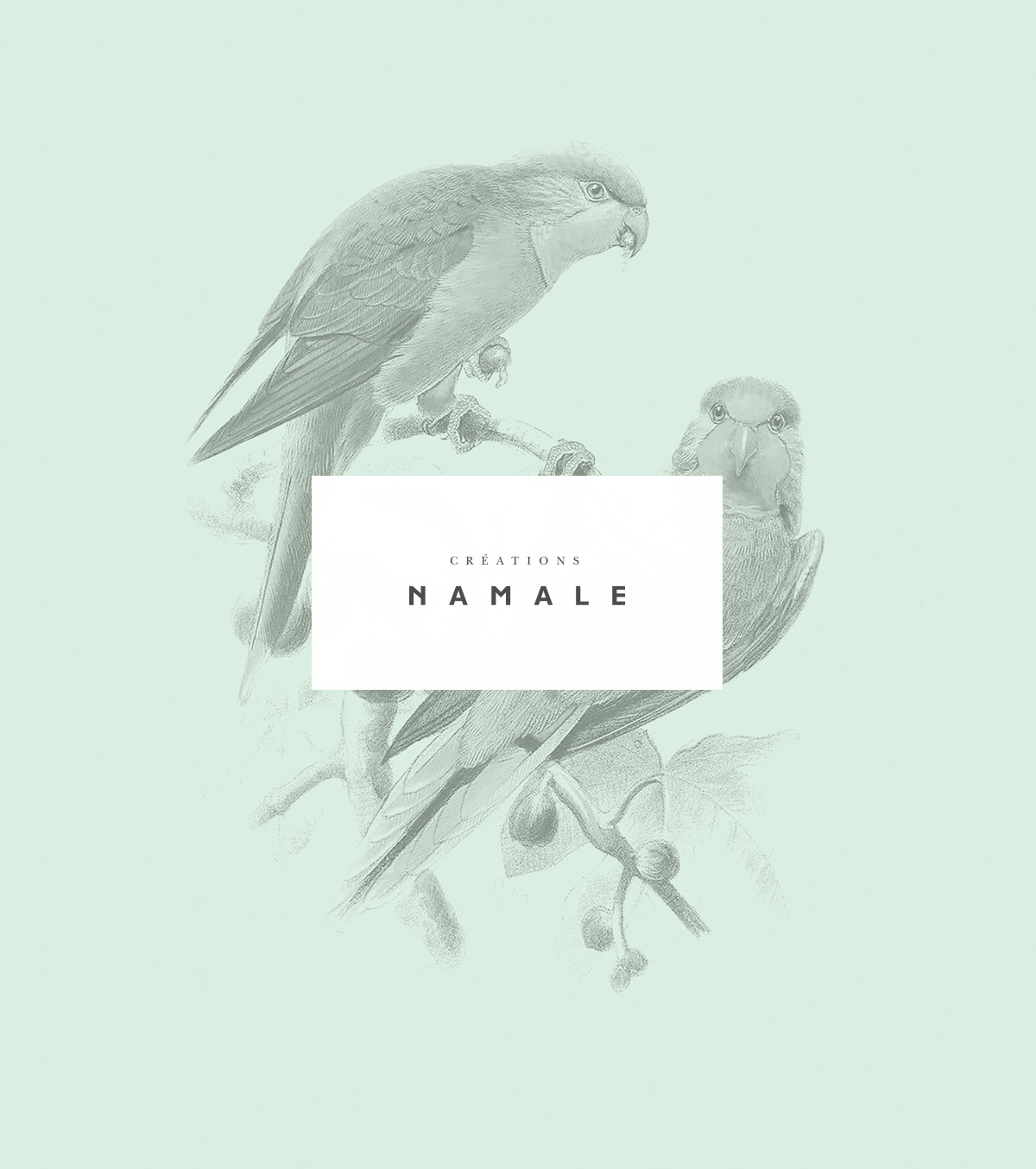 珠寶插畫包裝 珠寶插畫包裝