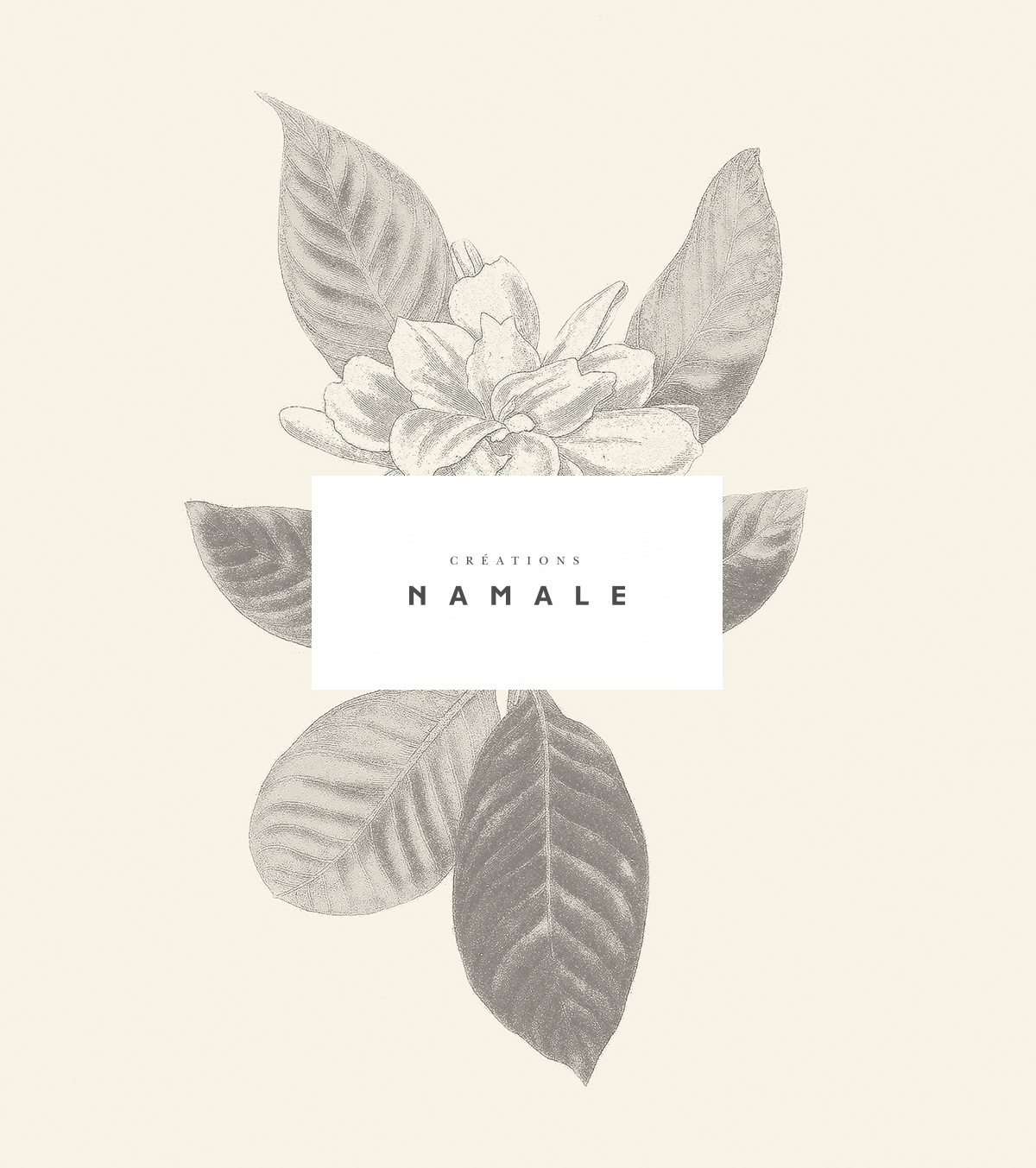 珠寶插畫包裝 珠寶插畫包裝