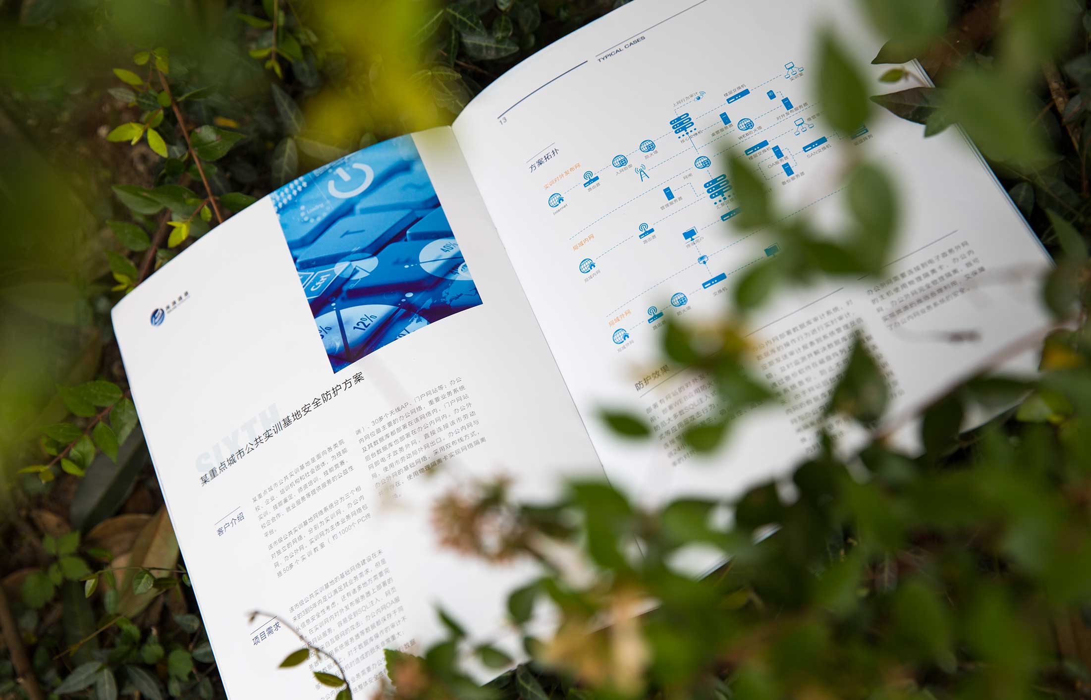 1625882108302405.jpg 95586.JPG